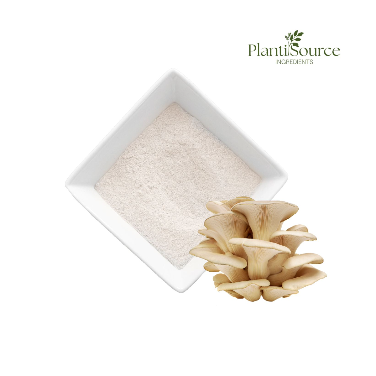 Oyster Mushroom Chitosan
