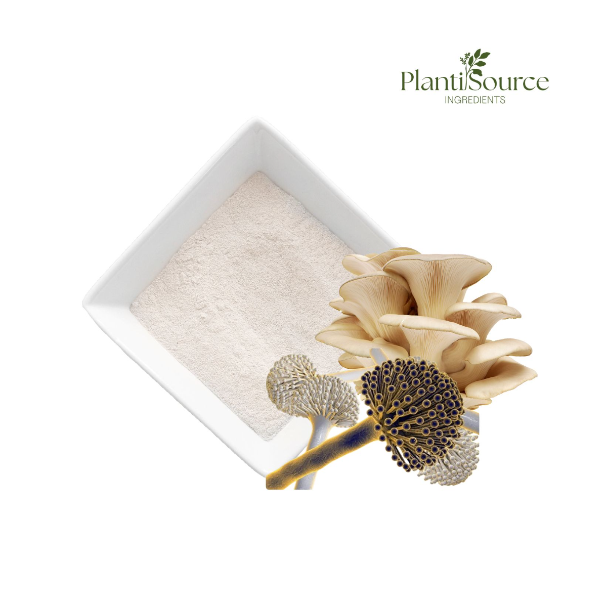 Fungal Chitosan Hydrochloride