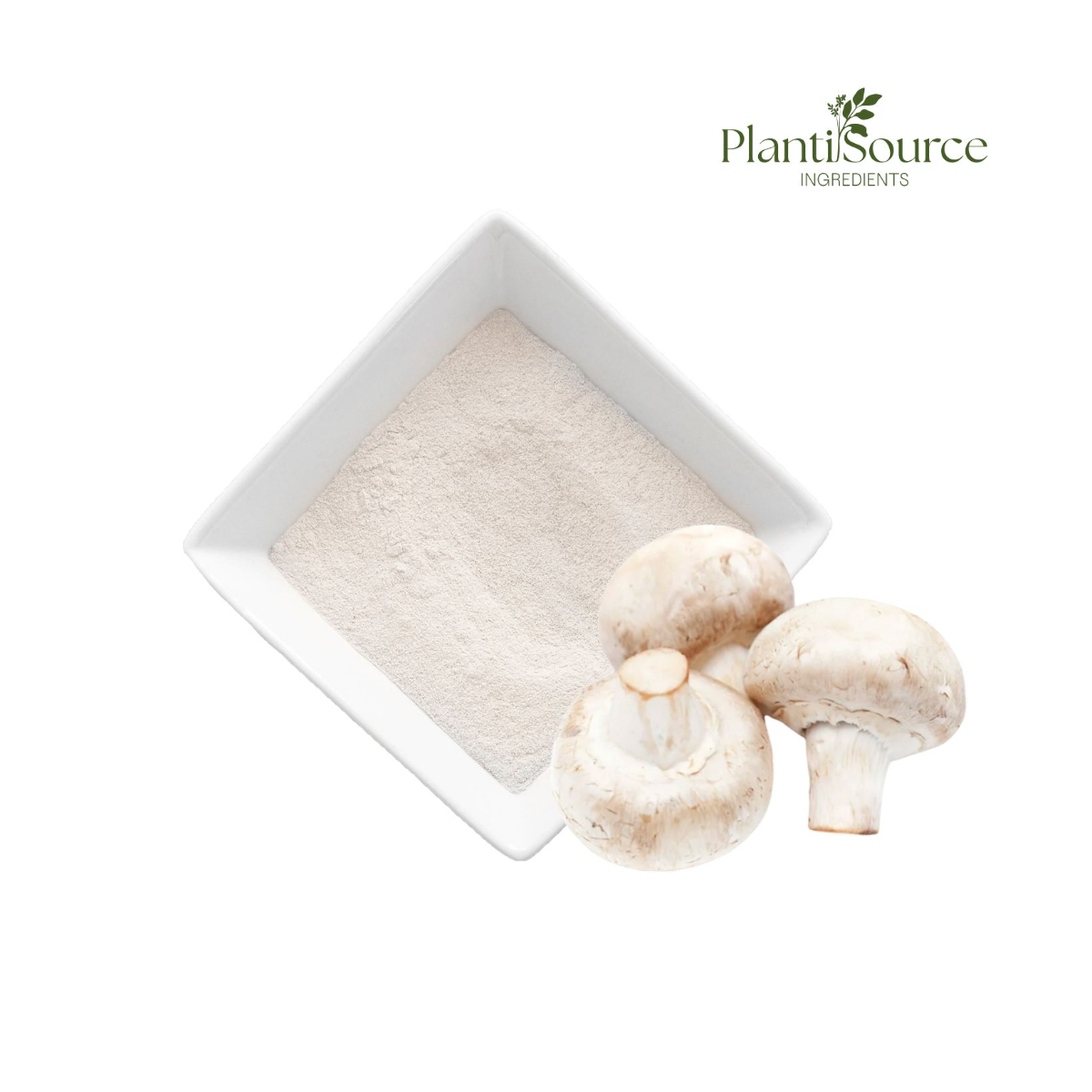 Agaricus Bisporus Chitosan